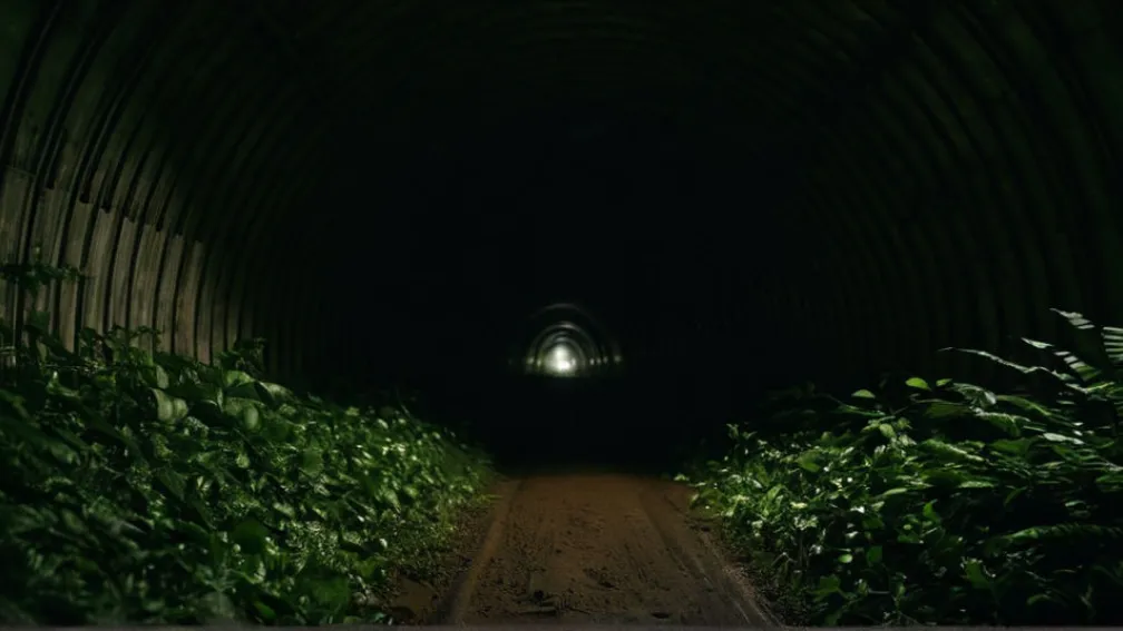 Масштабна поліцейська операція біля меморіалу Міттельбау-Дора: Батько і син спровокували пошуки в заборонених тунелях