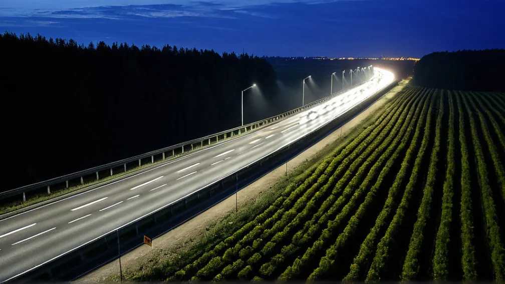 Будівництво автобану A20 у Німеччині відновлено після 10 років суперечок щодо кажанів