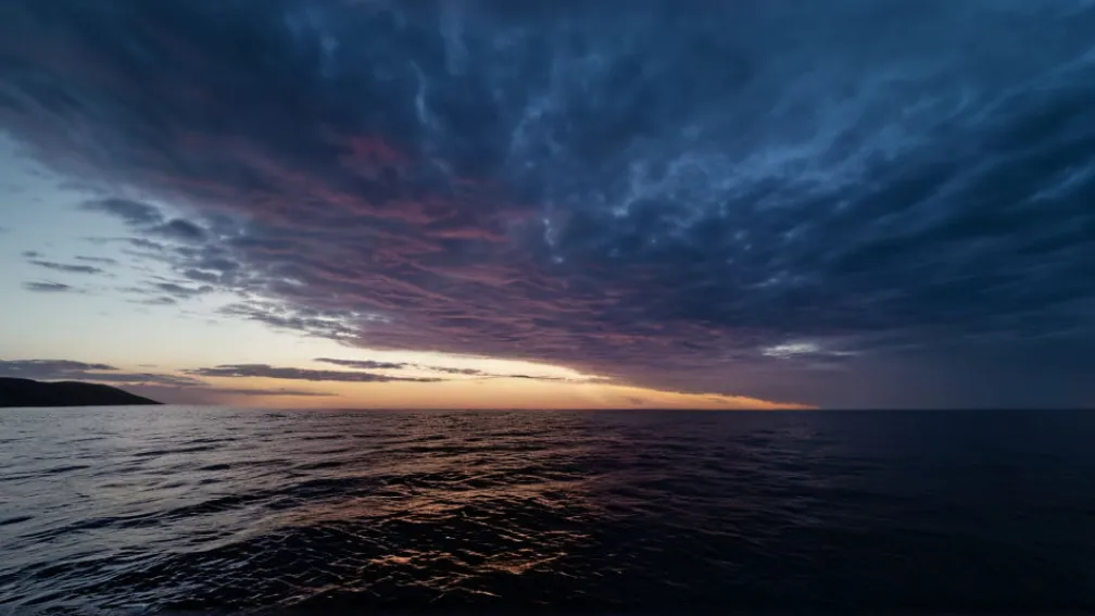 Дружина Кая Хаверца Софія сумує за улюбленим конем: "Безмежно сумую за тобою"