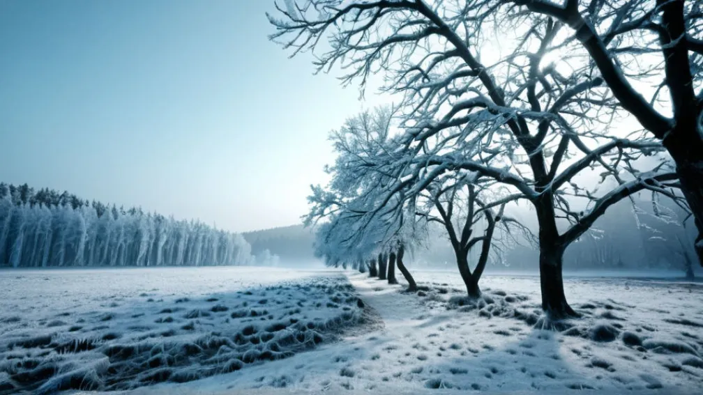 Зимова погода охопила Німеччину після аномально теплої осені