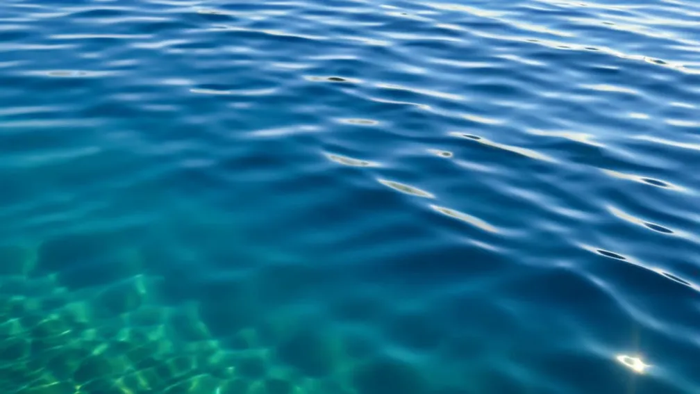 Останній у своєму роді? Маленьке диво плаває в Каліфорнійській затоці