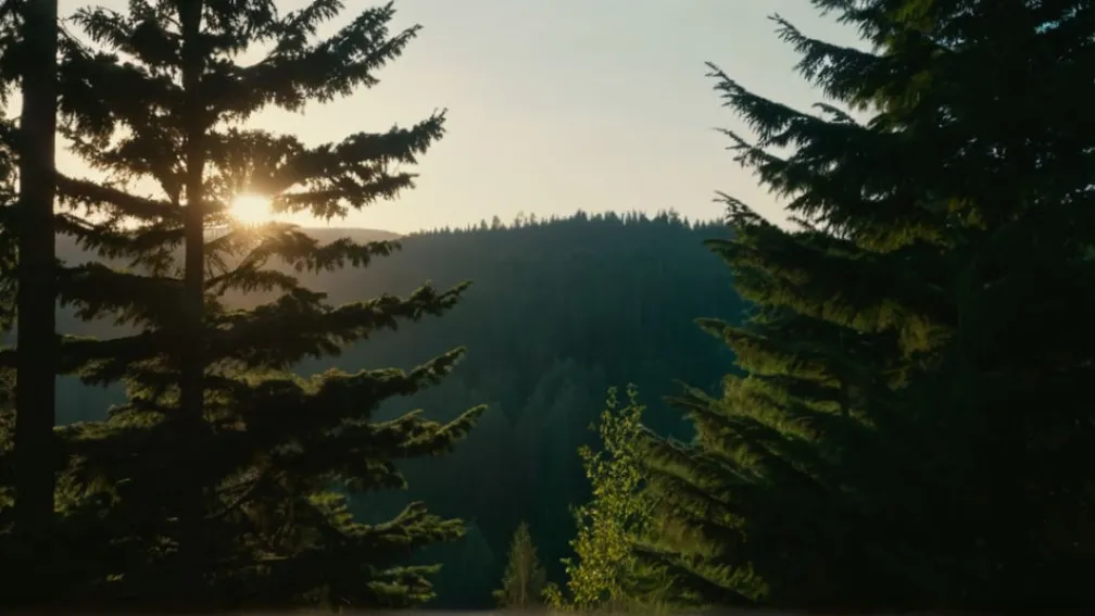 Потужний вибух сколихнув Берлін: Знешкодження 800 кг нелегальної піротехніки викликало переполох