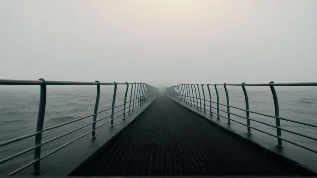 Німецькі "Зелені" шукають себе: Лише 13% вірять в успіх нинішнього керівництва