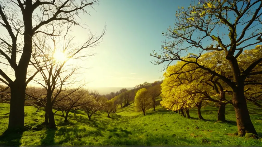 Аномальне тепло в Німеччині: до +18 градусів на початку грудня