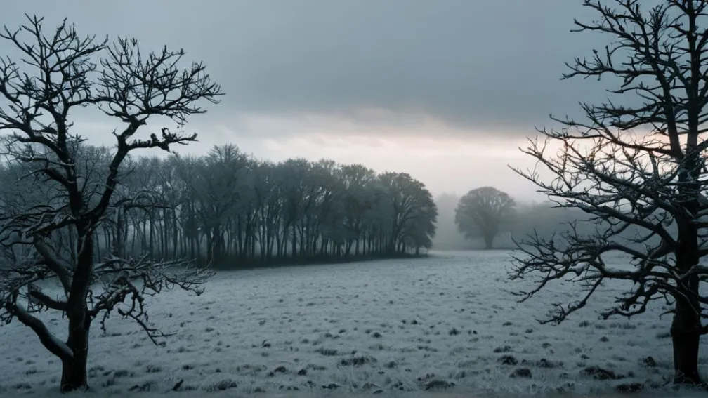Грудень у Німеччині: Від Теплого Старту до Зимових Сюрпризів