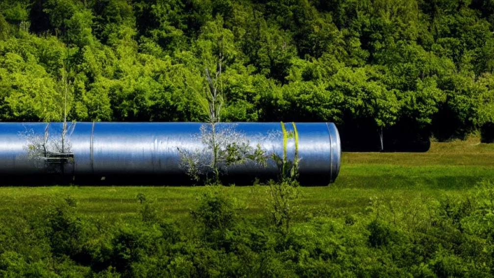 Greenpeace під загрозою: екологічна організація може сплатити сотні мільйонів доларів