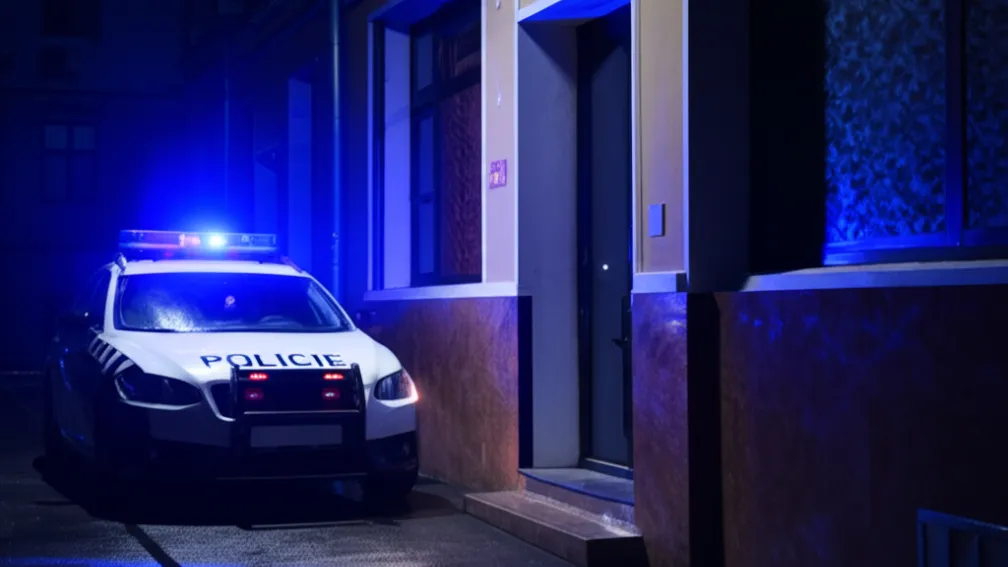 Крадіжка в Ольденбурзі: Злодії втекли