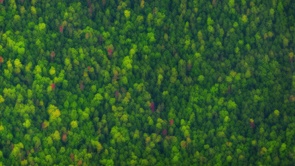 Супутник Biomass запущено: ESA відправляє вартового для наших лісів у космос