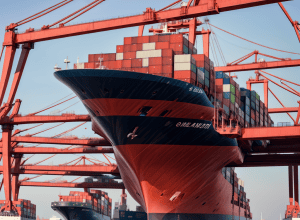 MSC, найбільша контейнерна лінія, майже подвоїть вантажопотік у порту Гамбурга до 2031 року