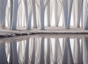 Вражаюча схожість: жінка виявилася двійником зірки Голлівуду Джима Керрі