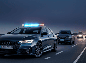 На автобані А4 у Німеччині затримали польського водія із забороненим ножем