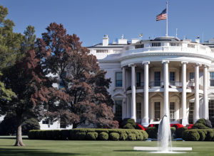 Трамп встановив у Білому домі «найкращі флагштоки у світі» за власні кошти