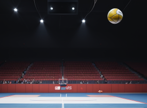 Права на показ Чемпіонатів світу з гандболу 2027-2031 у Німеччині змінили власника