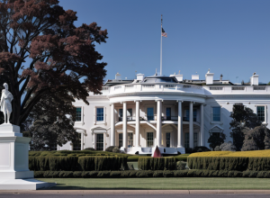 Зустріч Мерца та Трампа: Чи стане німецька партія АдН темою обговорення у Білому домі?