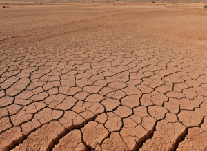 Без води для розкоші: Мер Майорки перекриває водопостачання елітному готелю через посуху