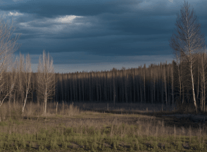 Загадки та таємниці Чорнобиля: 35 років потому