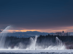 Вплив штучного інтелекту на сучасну журналістику