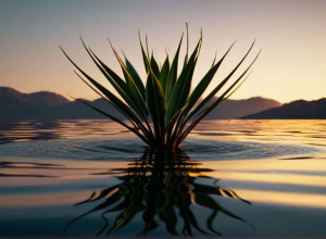 Борис Беккер став батьком вп'яте: Тенісист та його дружина вітають доньку