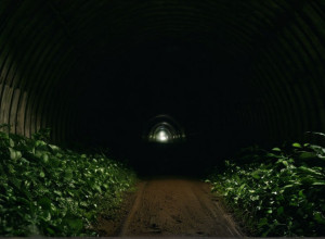 Масштабна поліцейська операція біля меморіалу Міттельбау-Дора: Батько і син спровокували пошуки в заборонених тунелях