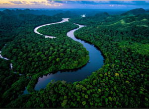 Звинувачення у шахрайстві проти популярного реаліті-шоу "7 vs. Wild"