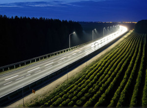 Будівництво автобану A20 у Німеччині відновлено після 10 років суперечок щодо кажанів