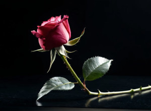 Світ знаменитостей: Тиждень втрат та радісних звісток