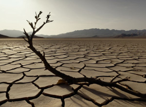 Бундестаг обговорює війну в Судані на тлі гуманітарної катастрофи та надії на перемир'я