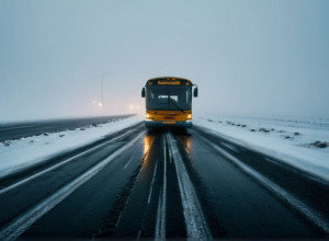 Смертельна ДТП поблизу Бад-Кьонігсгофена: 25-річний водій загинув при зіткненні з автобусом