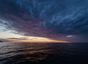 Дружина Кая Хаверца Софія сумує за улюбленим конем: "Безмежно сумую за тобою"