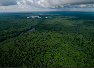 Доповідь "Глобальні переломні моменти" попереджає перед Кліматичною конференцією COP30