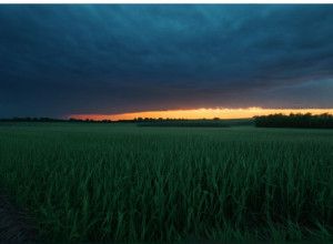Вбивство Фабіана: нові шокуючі подробиці про підозрювану