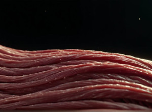 „Забагато лактату в тілі“: Заява Ковача про зірку „Боруссії“ спричинила резонанс