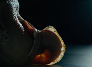 Паріс Джексон відверто розповіла про діру в носі через наркотики