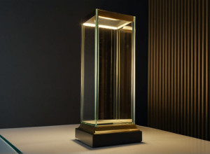 Викрадено чемпіонський трофей гандбольного клубу "Фюксе Берлін"