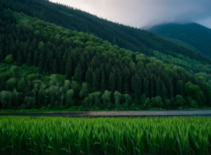 Нове дослідження розкриває потенціал штучного інтелекту у боротьбі зі зміною клімату