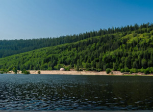 Ефективні стратегії боротьби зі зміною клімату