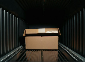 Незаконне перевезення черепах: Француза затримали з рідкісними рептиліями на німецькому кордоні