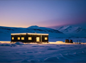 Непроханий гість: Полярні собаки відігнали білого ведмедя від станції