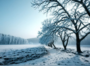 Зимова погода охопила Німеччину після аномально теплої осені