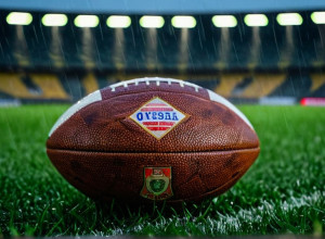 "Майнц" зіграв унічию з "Хоффенхаймом", а один з гравців отримав "шістку"