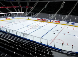 Відміна хокейного матчу в Німеччині: дивна причина