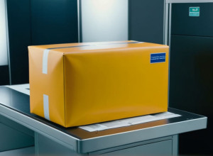 Футболіст "Боруссії" Дортмунд Карім Адеємі оштрафований на 450 000 євро за незаконне зберігання зброї