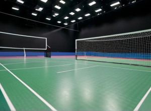 Чемпіонат світу з гандболу серед жінок 2025: Німеччина готується до домашнього турніру