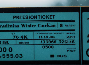 Як заощадити на квитках на потяг до Різдва: дослідження назвало найвигідніші дати для подорожей