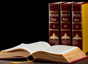 Огляд української літератури