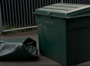 Шок у Німеччині: Триметровий пітон знайдений мертвим у пакеті зі сміттям біля контейнера для одягу