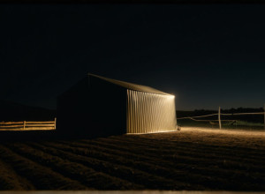 Скандал на «Зірковій Фермі»: Контрабанда Солодощів та Пристрасні Історії