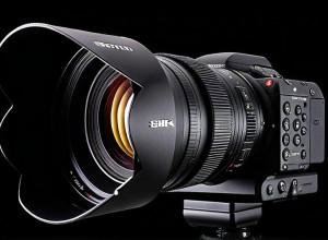 Берлін запускає BärGPT: власний ШІ-помічник для держслужбовців