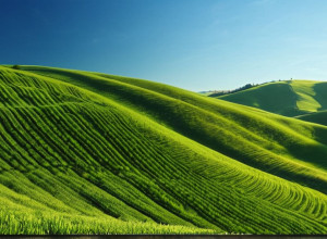 Гессен – другий найздоровіший регіон Німеччини: дослідження Barmer