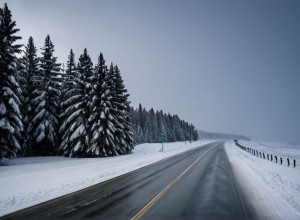 Снігова буря в Північній Америці
